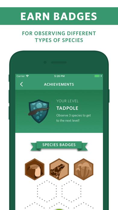 Seek by iNaturalist