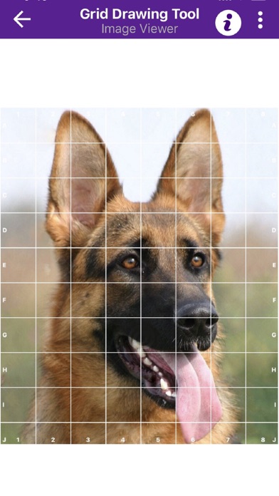 Grid Drawing Tool for Artists