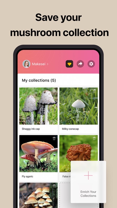 Picture Mushroom: Fungi finder
