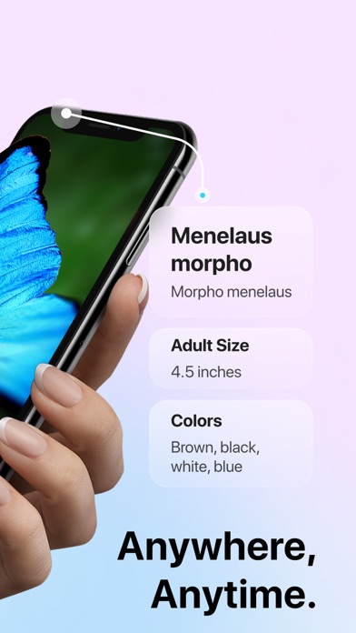 Picture Insect: Bug Identifier
