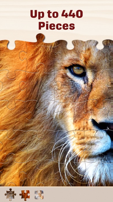 Jigsaw Puzzles for Adults HD