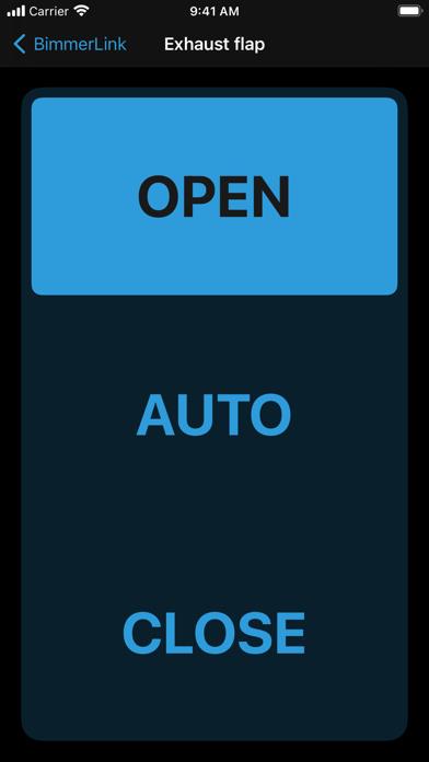 BimmerLink for BMW and MINI
