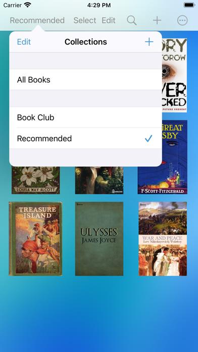 Bluefire Reader