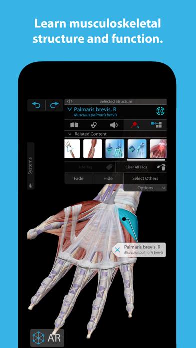 Human Anatomy Atlas 2023