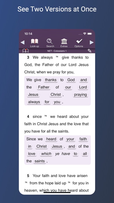 Touch Bible Loaded: Level Up!