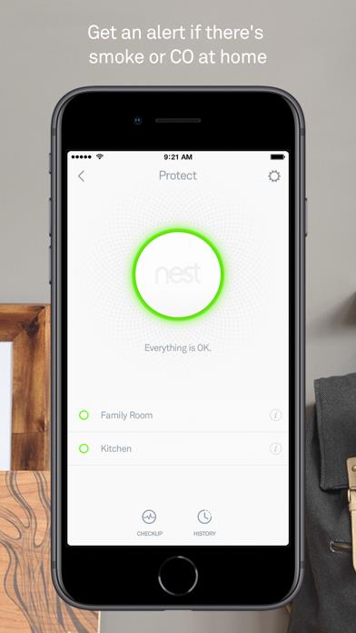 Nest