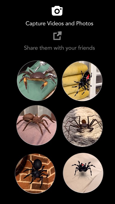AR Spiders & Co: Scare friends