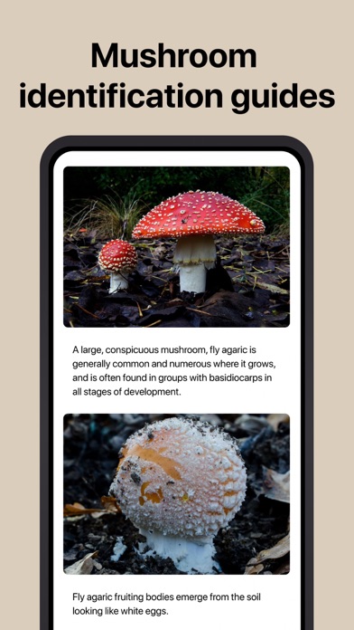 Picture Mushroom: Fungi finder