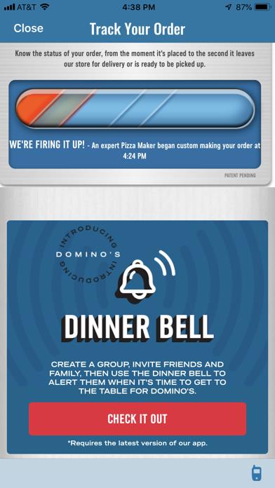 Domino's Pizza USA