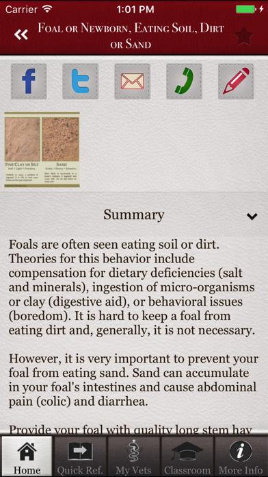 Horse Side Vet Guide