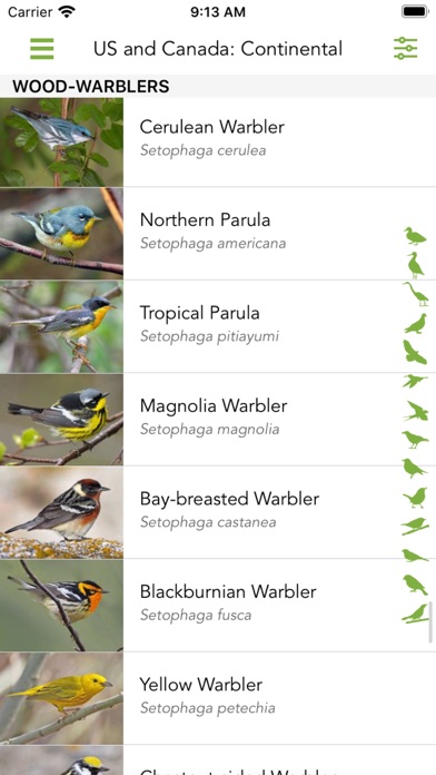 Merlin Bird ID by Cornell Lab