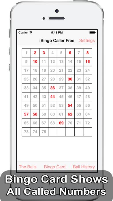 iBingo Caller - Play Bingo at Home with Friends!