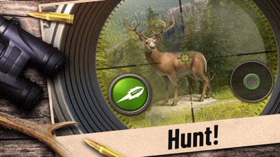 Hunting Clash: Hunter World