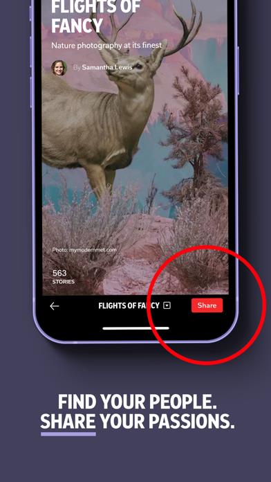 Flipboard: The Social Magazine