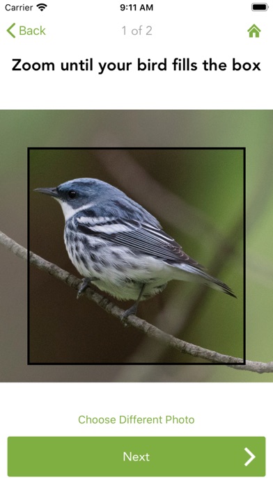 Merlin Bird ID by Cornell Lab