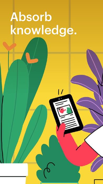 Pocket: Stay Informed