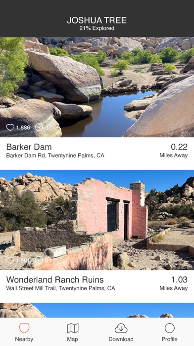 Joshua Tree by Fotospot