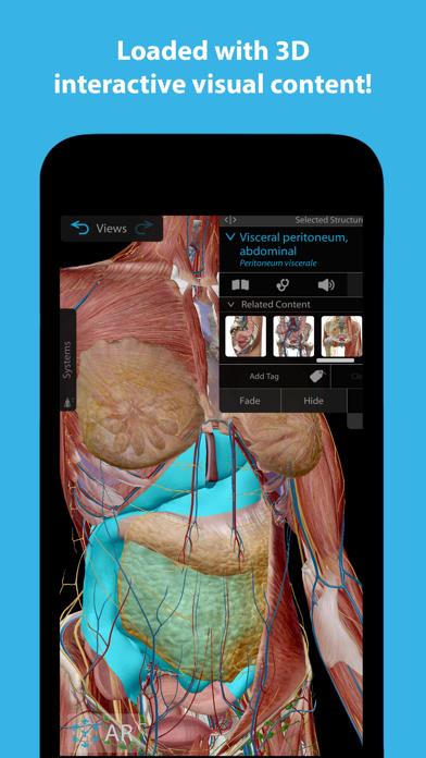 Human Anatomy Atlas 2023