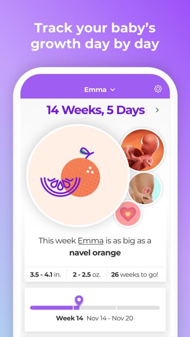 Pregnancy & Baby Tracker