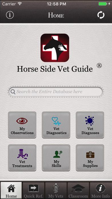 Horse Side Vet Guide