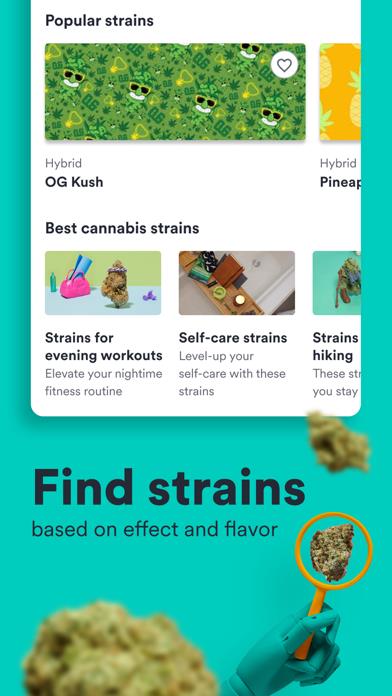 Weedmaps: Cannabis & Delivery