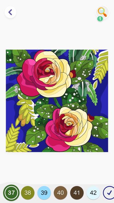 Paint by Number Art: Hey Color