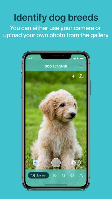 Dog Scanner