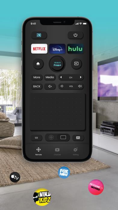 SmartCast TV Remote Control.