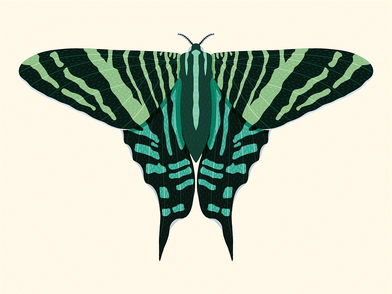 Moth Green Moth