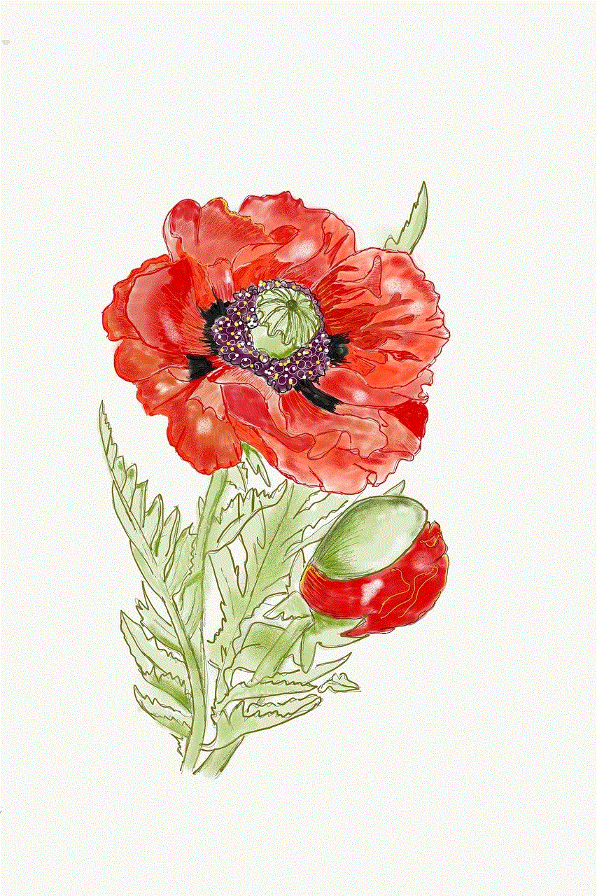 Poppy Nature