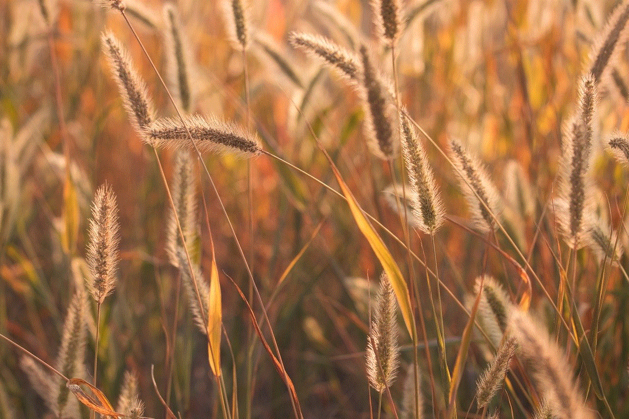 Grasses Seeds