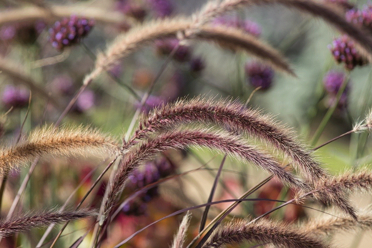 Grass Nature