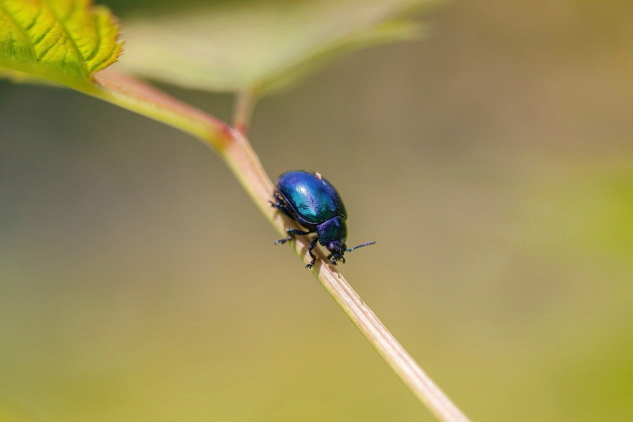 Mint Beetle Beetle