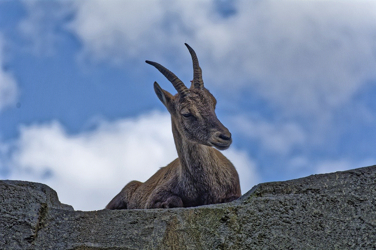 Ibex Horns
