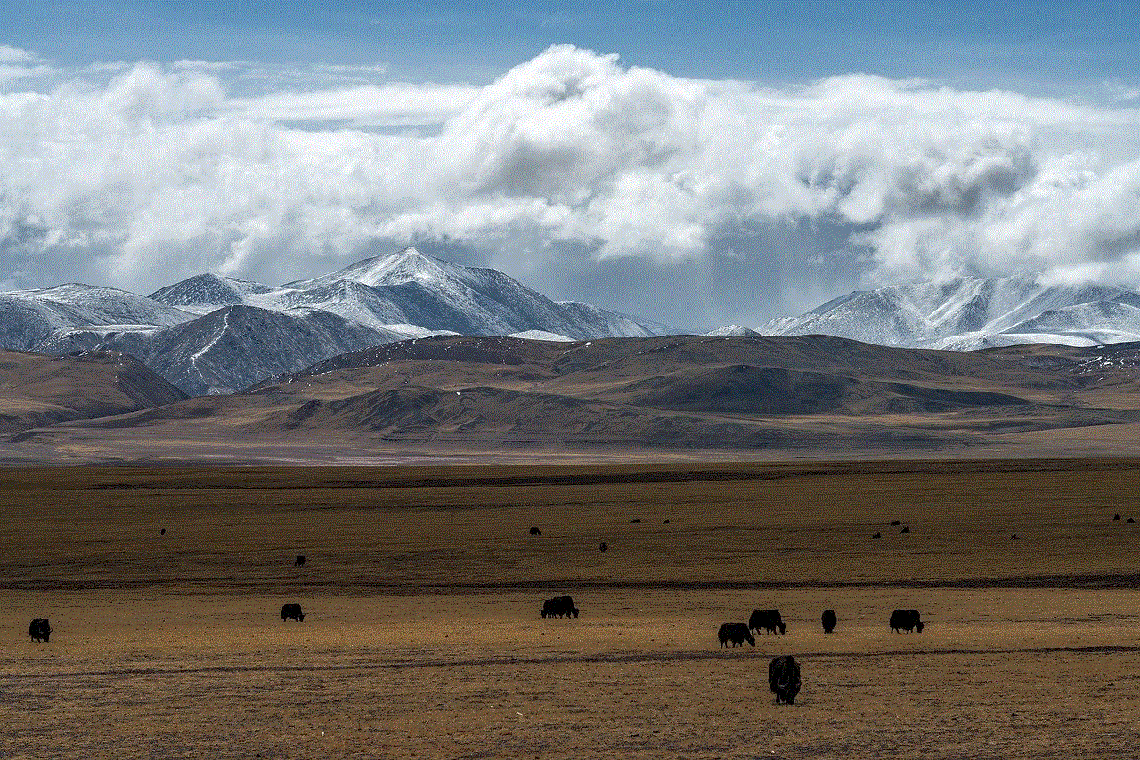 Grassland Snow Mountain