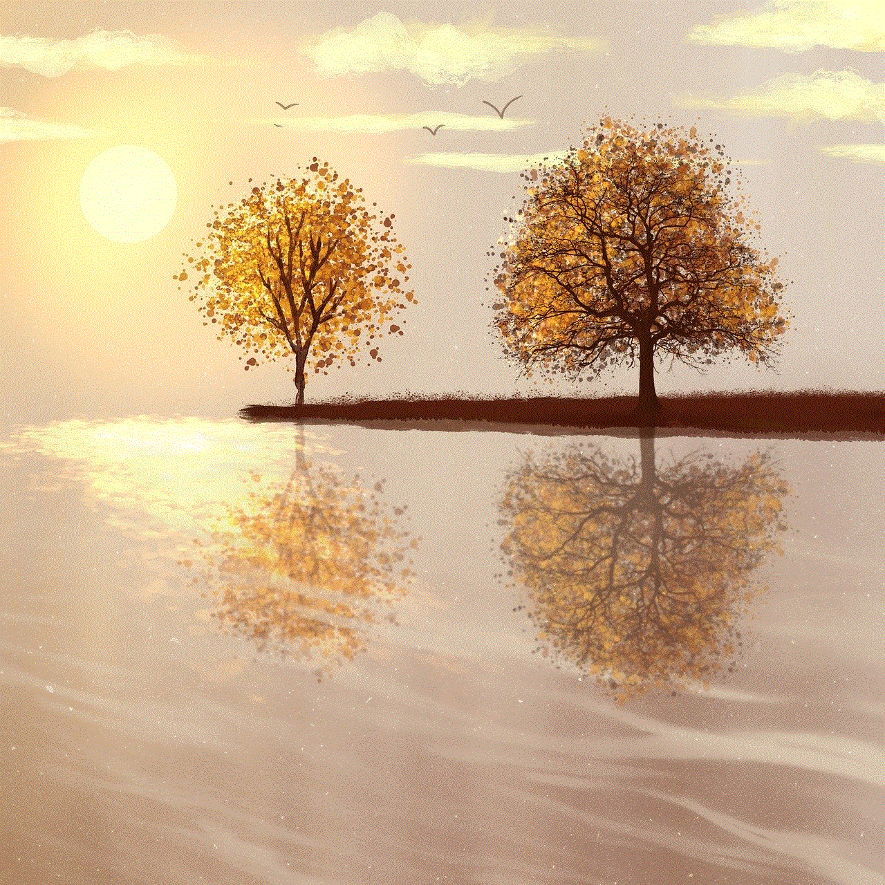 Trees Sunrise Trees Sunrise
