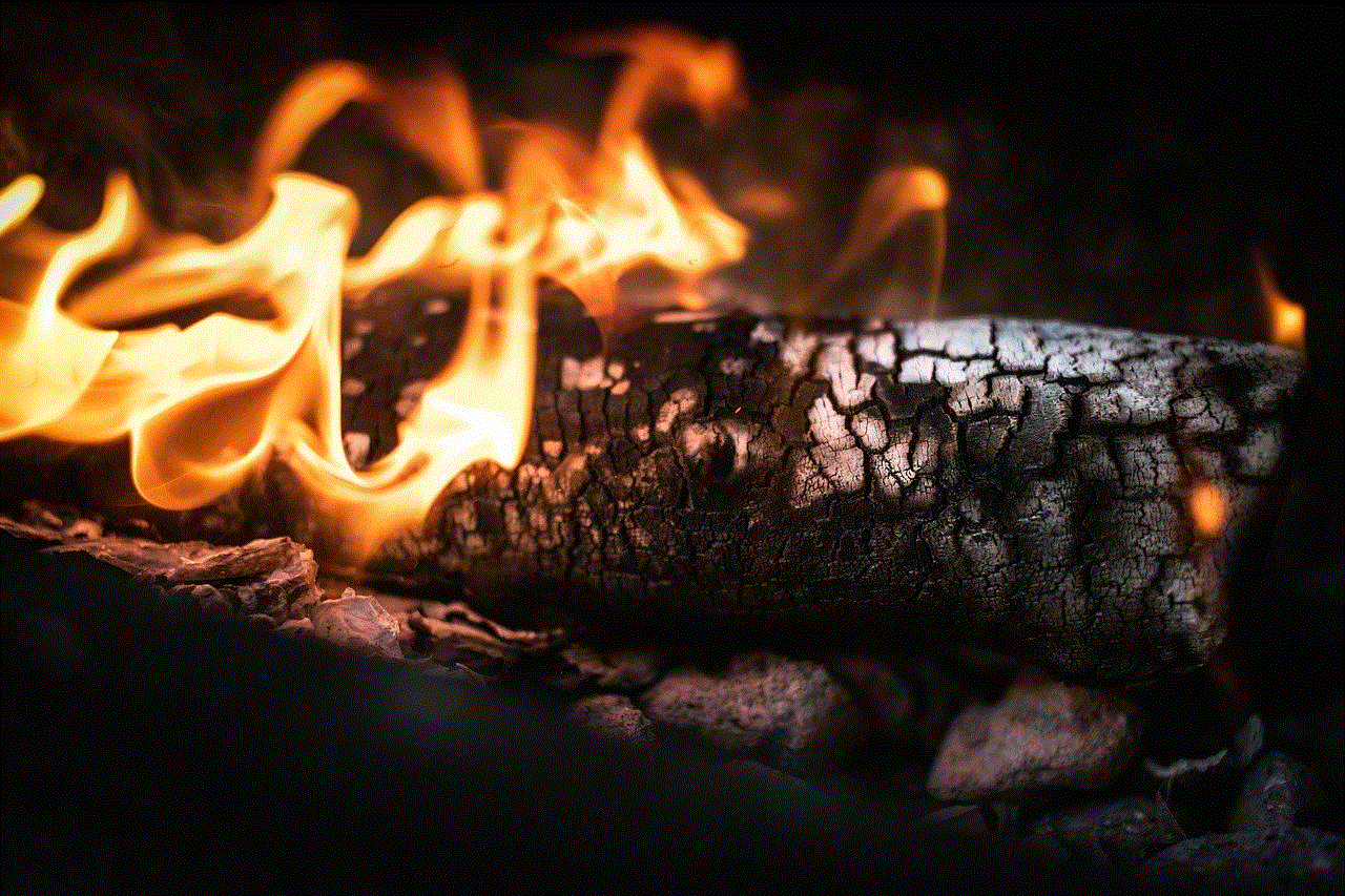 Fire Log