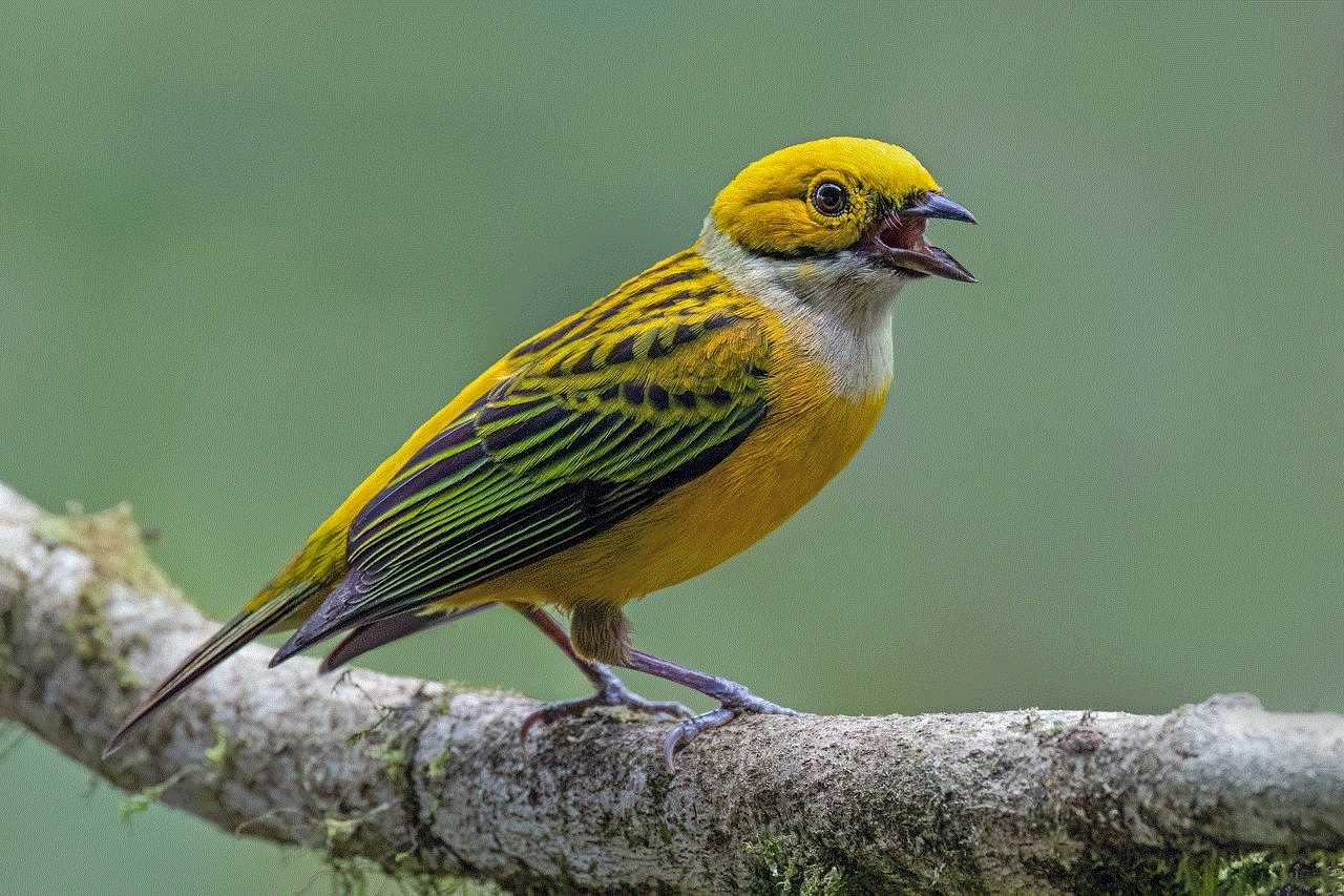 Silver-Throated Tanager Bird