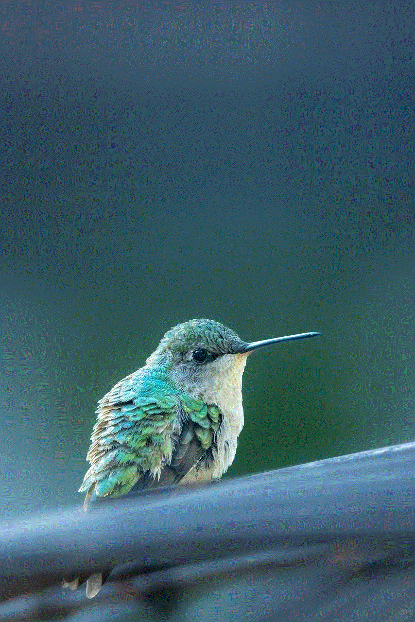 Hummingbird Iphone Wallpaper