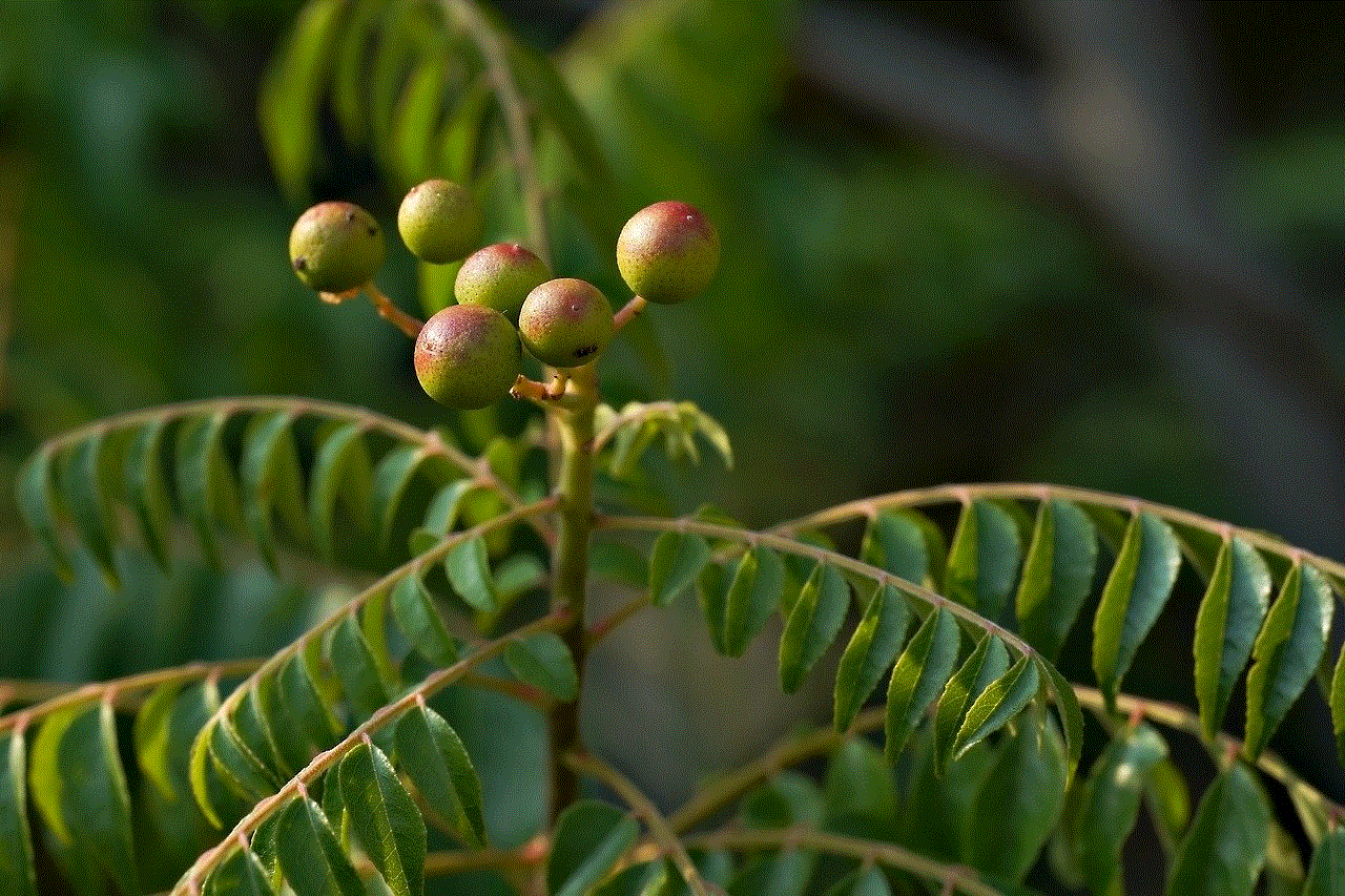 Plant Nature