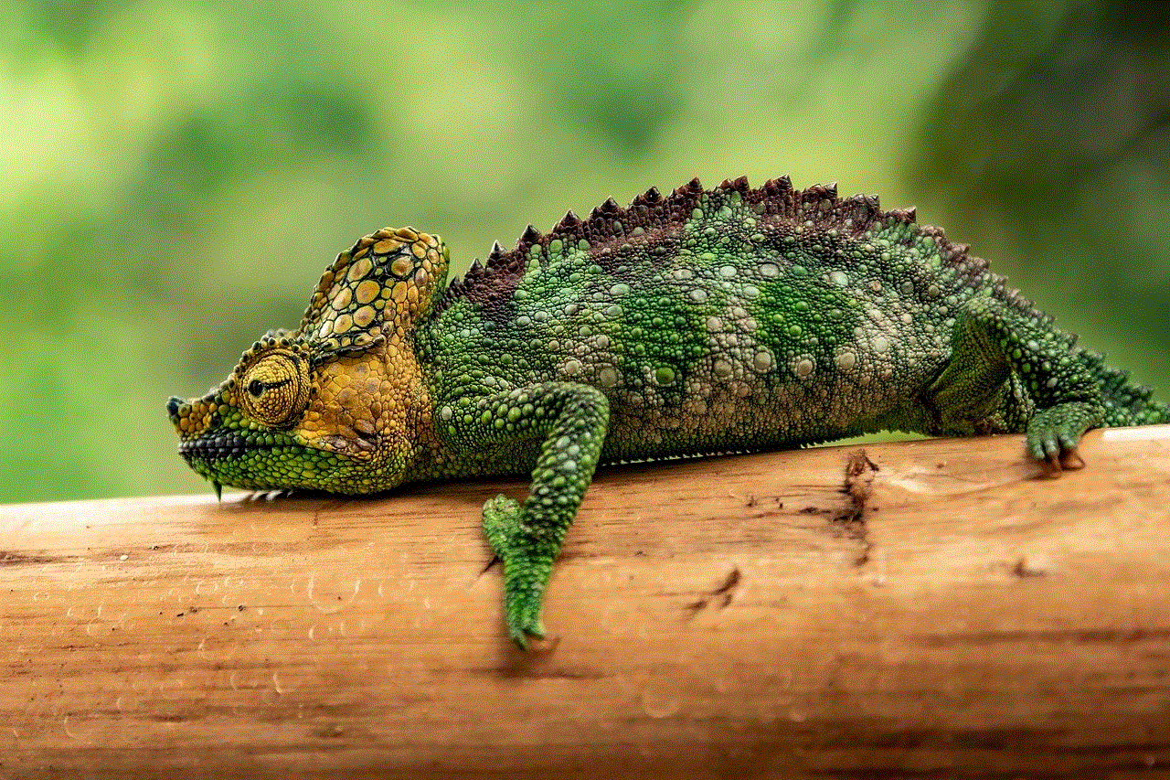 Chameleon Wood Texture