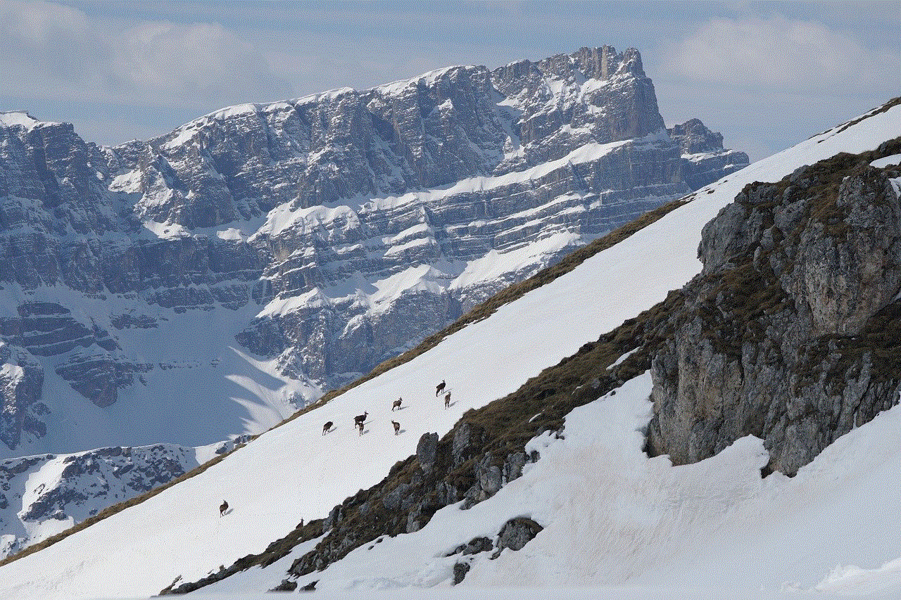 Chamois Snow