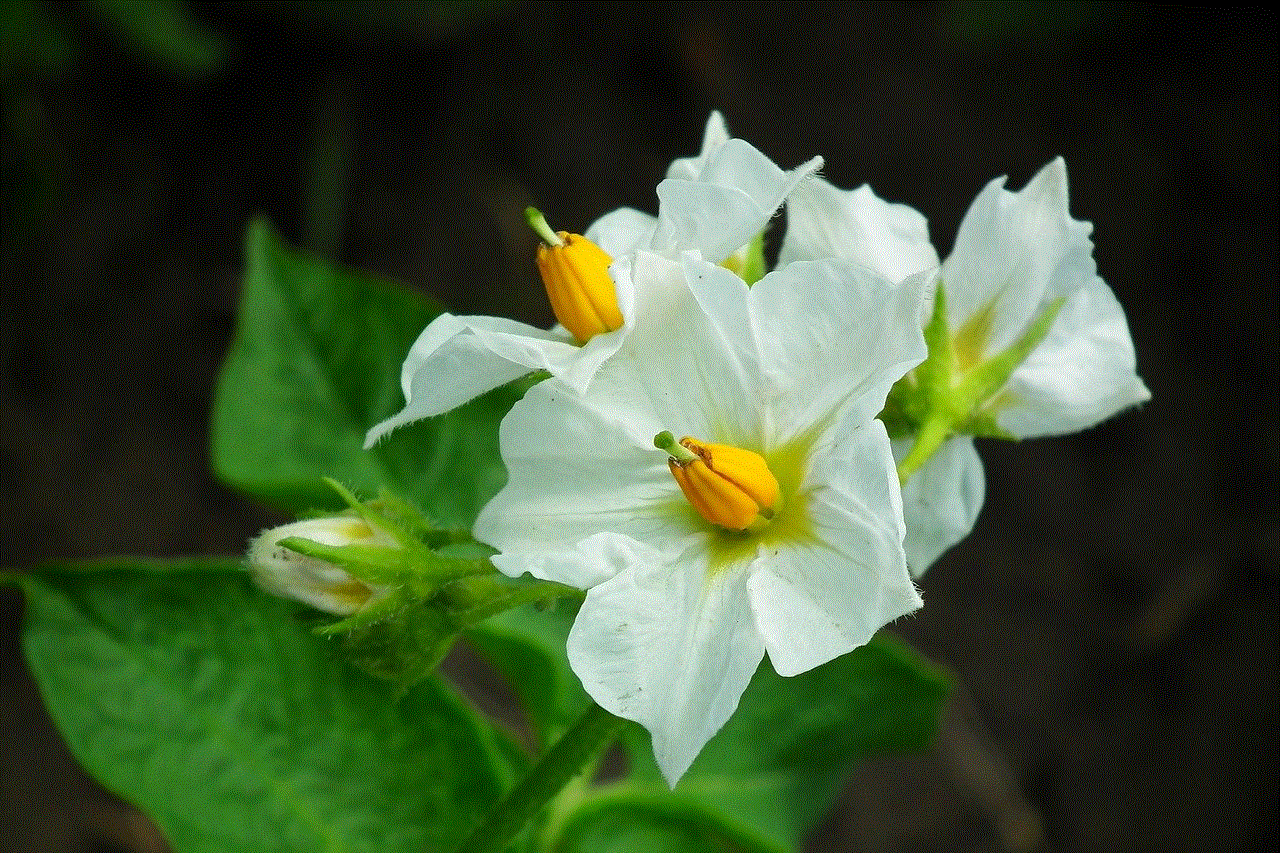 Flowers Potatoes