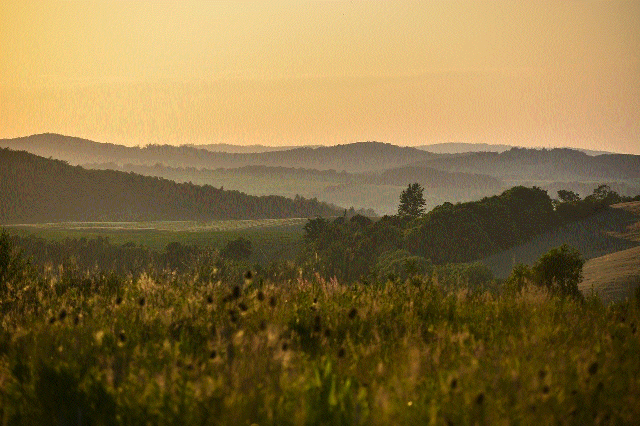 Landscape Meadow Landscape Meadow