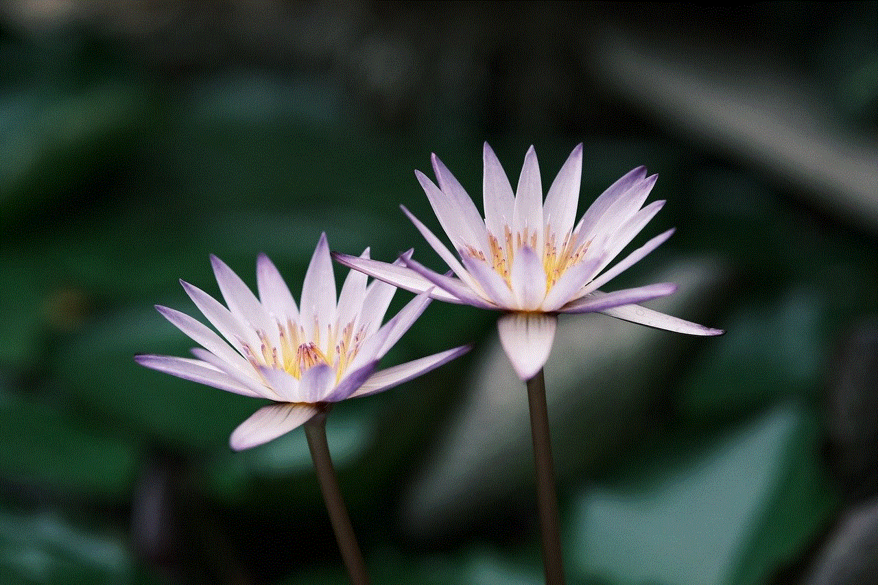 Lotus Flower