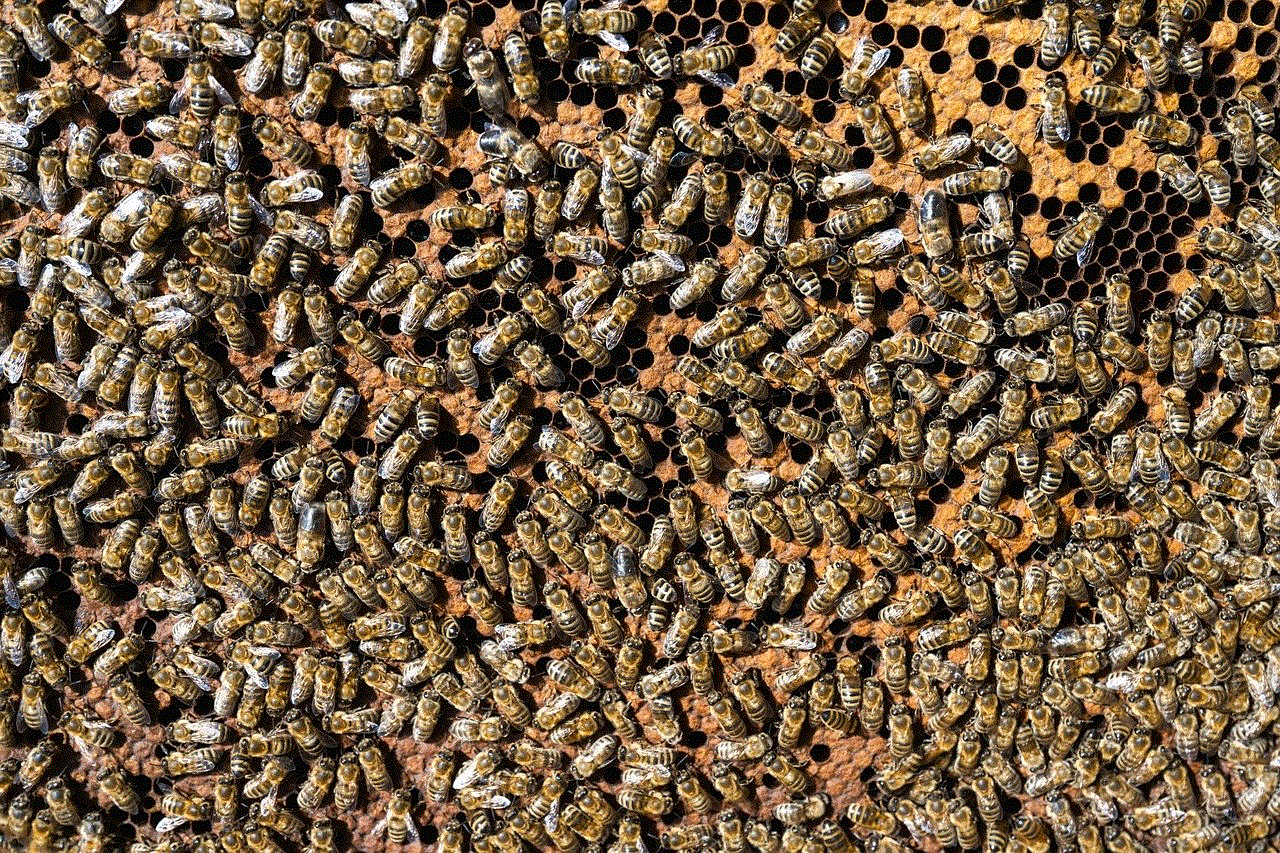 European Honey Bees Bees