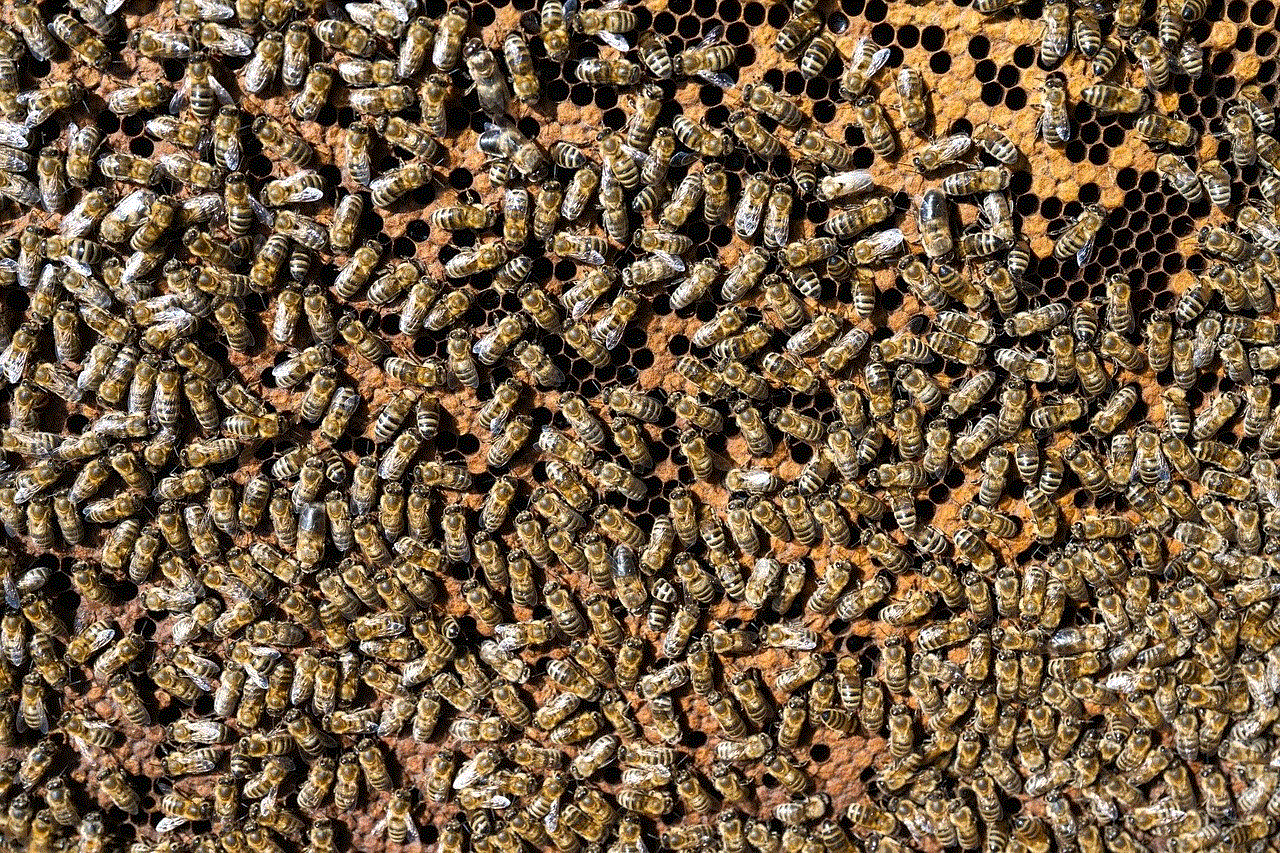 European Honey Bees Bees European Honey Bees Bees