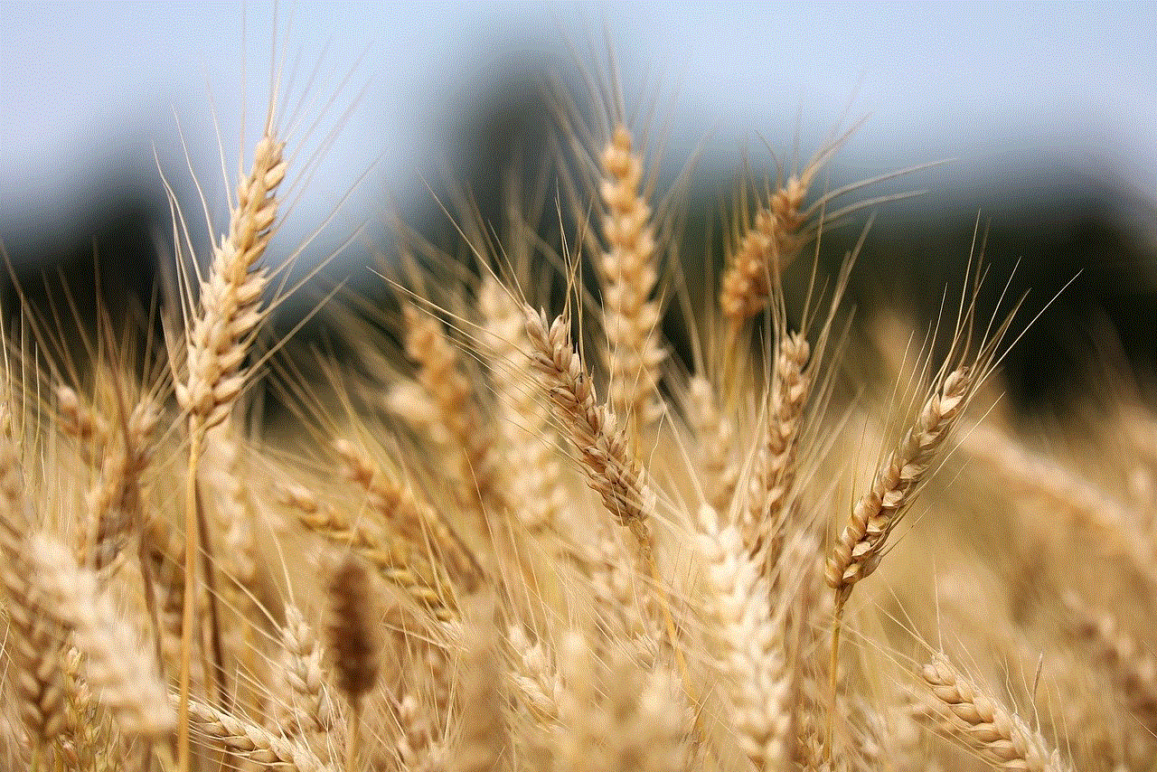 Wheat Agriculture