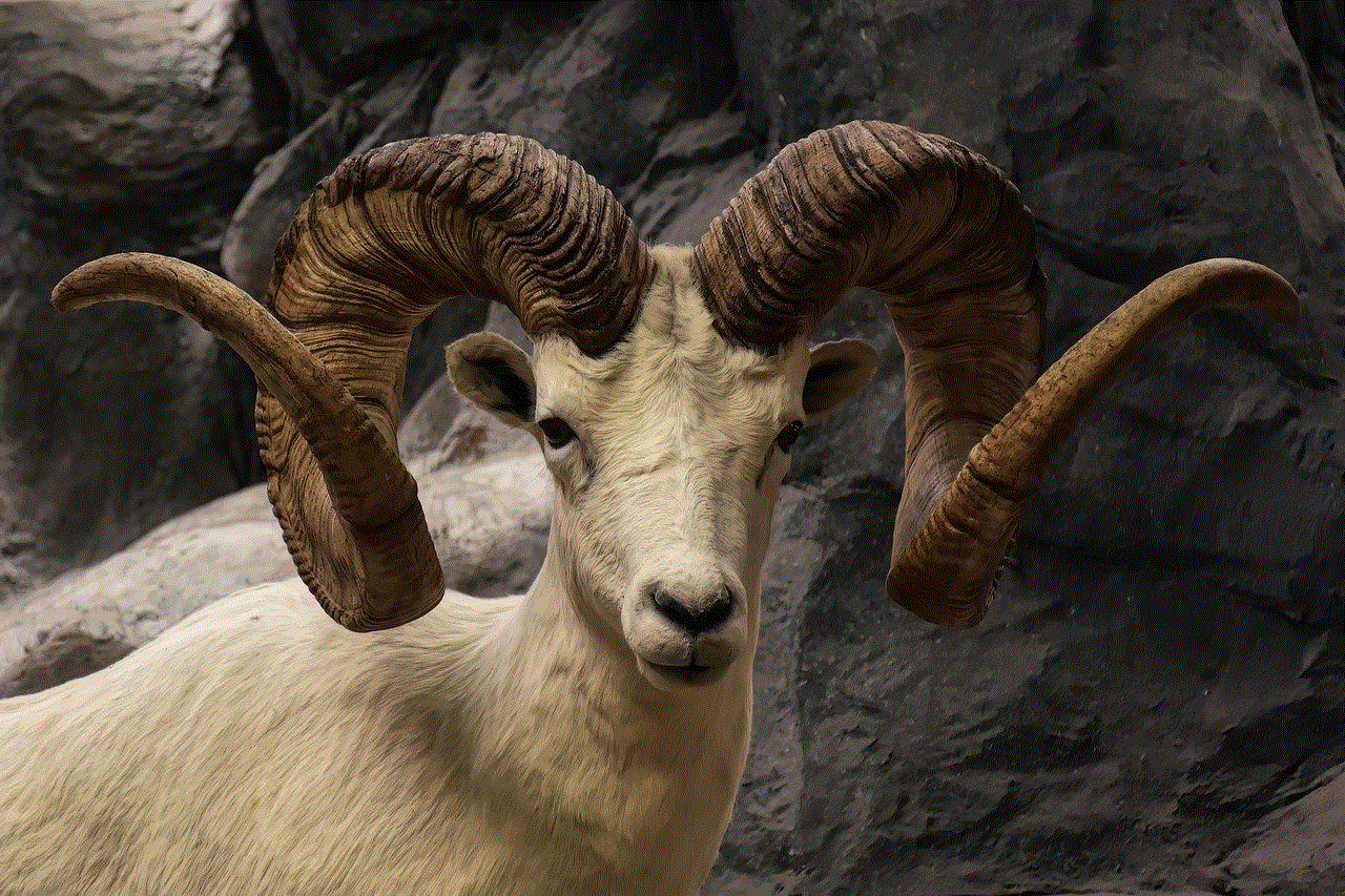 Bighorn Sheep Wild Sheep