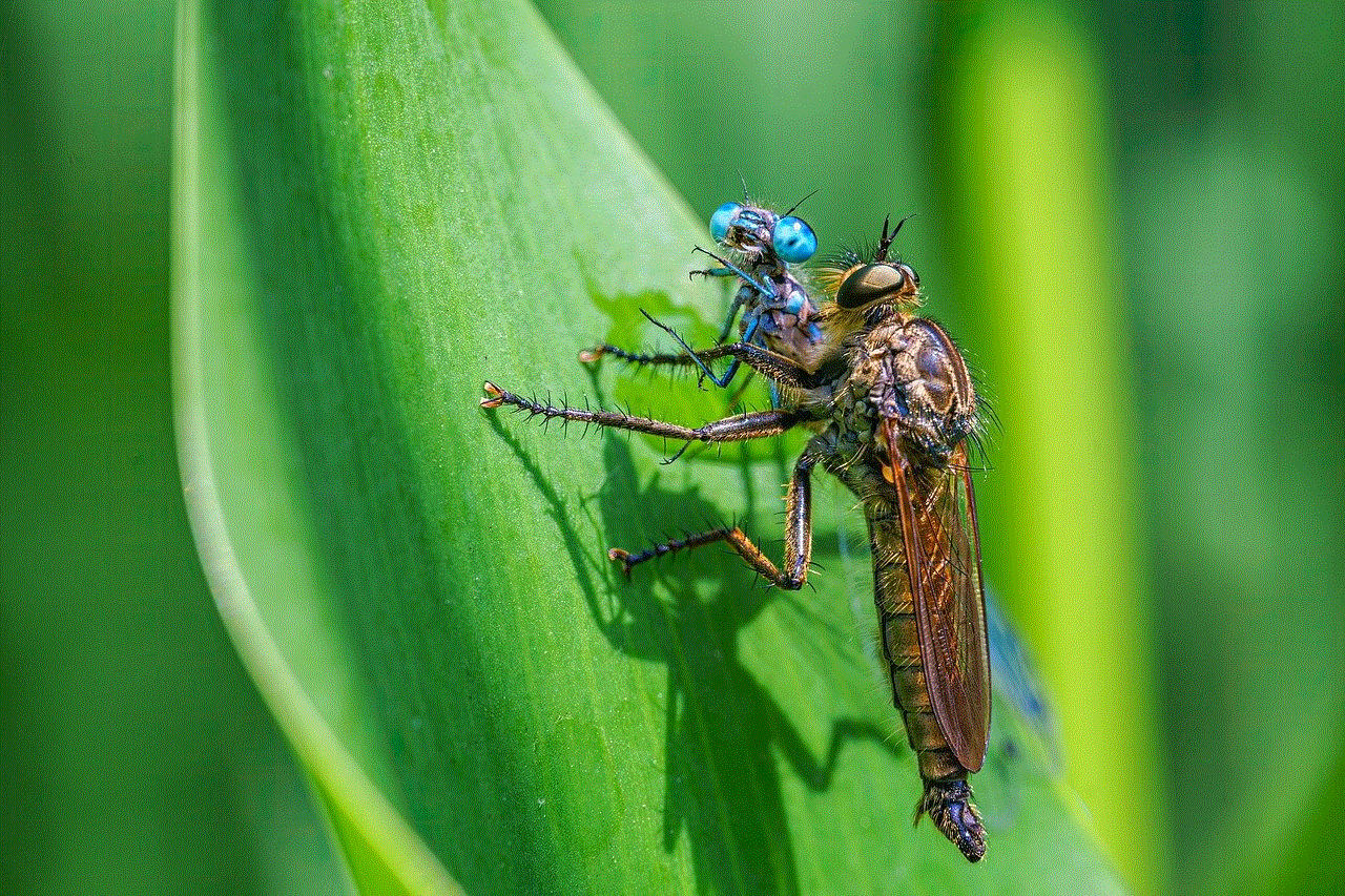 Fly Dragonfly